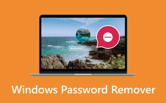 Средство для удаления пароля Windows