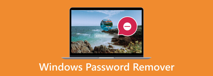 Dispositivo di rimozione password di Windows