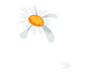 BG