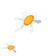 BG