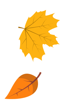 Decoration