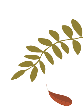 Decoration