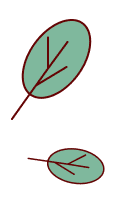 BG
