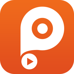 PDF Converter Platinum